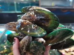 -都市阳光海鲜城(青山湖店)