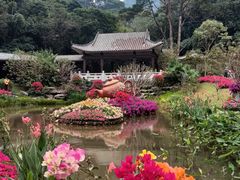 -桃花涧