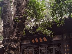 -七曲山风景区