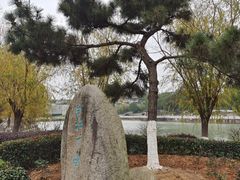 -八大山人梅湖景区