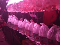 -中环花鸟鱼虫市场