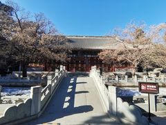 -香山公园