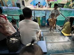 -台州海洋世界
