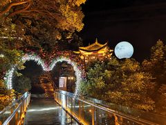 -巴倒烫陆派重庆火锅(南山店)