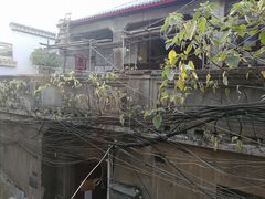 -胡仁根胡记炸炸炸