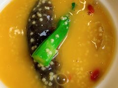 小米焖煮辽参-维多利亚大酒店·雅园中餐厅