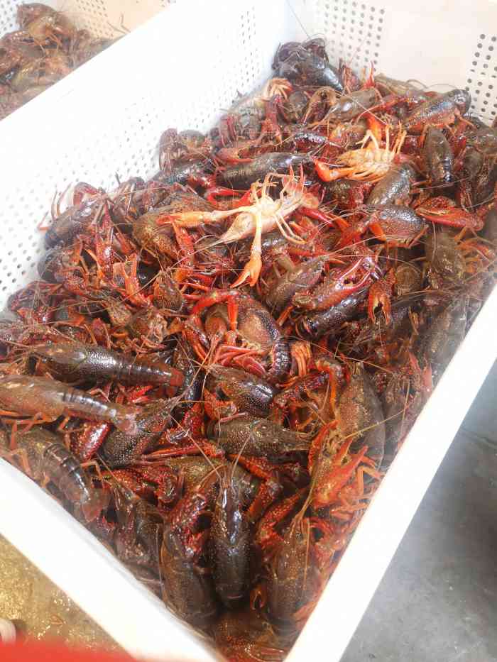罗胖子龙虾(张公山店)-"昨天去吃了肉多味美的超级美味小龙虾,我们.