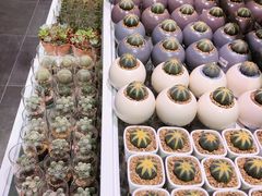 -KKV(深圳宏发大仟里店)