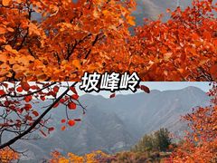 -八达岭长城