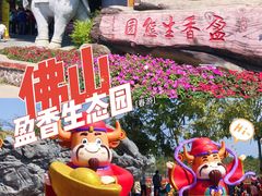 -盈香心动乐园