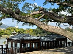 -江心屿景区