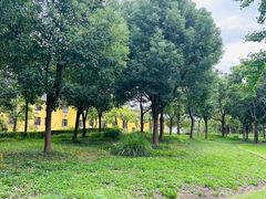 -贡湖湾湿地公园