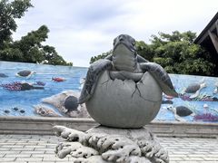 -广东惠东海龟国家级自然保护区