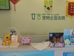 -艾吉宠物医院·疑难杂症转诊中心·猫友好(碧江路院)