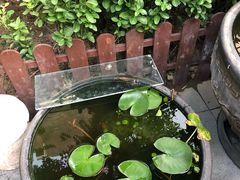 -五悦北平四季涮肉·烧烤(老商埠店)