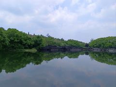 -白马涧龙池景区
