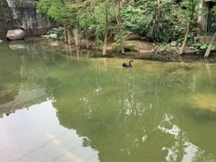 -广州市帽峰山景区