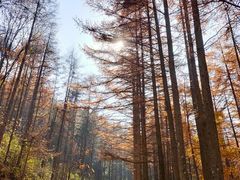 -龙峪湾国家森林公园