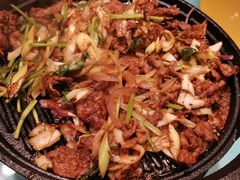老北京烤肉-万荣烤鸭店·北京菜(天坛店)