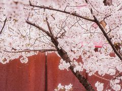 -龙美术馆(西岸馆)