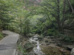 -王顺山国家森林公园