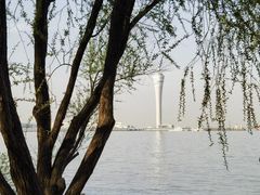 -上海吴淞炮台湾国家湿地公园