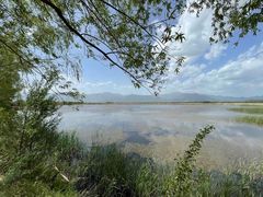 -野鸭湖国家湿地公园