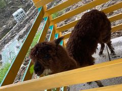 -美家乐农庄·露营·团建(大治路店)