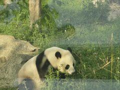 -武汉动物园