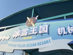 -海合安武汉极地海洋公园