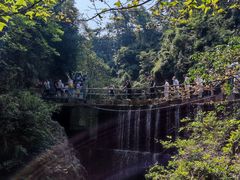 -大奇山国家森林公园