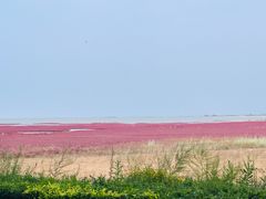 -辽宁团山国家级海洋公园