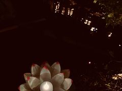 -花溪雨·森林餐厅(石基店)