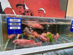 -阿毛饭店首店·宁波老字号(文化广场店)