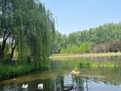-仁和公园(顺义区)