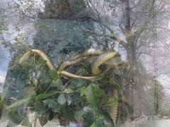 -昆明动物园