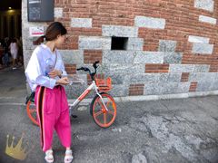 -斯福尔扎古堡
