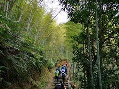 -千泷沟大瀑布旅游区