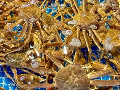 -驻海渔市(置信店)