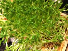 -凤园椰珍·臻品椰子鸡(保利时光里店)