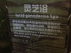 -丰顺宝丰酒店温泉