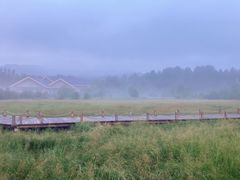 -塞罕坝国家级自然保护区