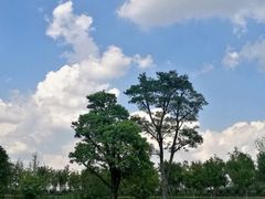 -滆湖低碳生态公园
