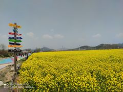 -西海岸生态观光园
