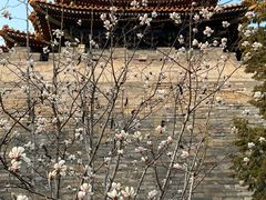 -东华门大街小区