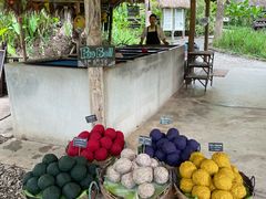 -大象粑粑造纸公园