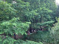 -白水寺森林公园