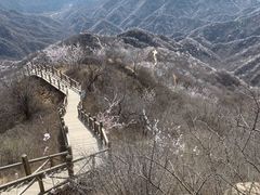 -大岭沟猕猴桃谷风景区