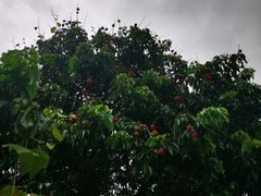 -顺风山庄(水濂山店)