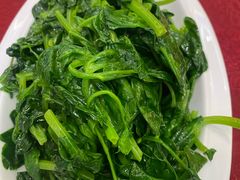 清炒豌豆尖-快乐海鲜酒楼(滇池路店)